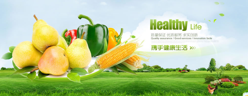 南皮县乡居手工制桃木簪子有限公司